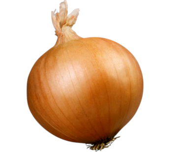 بصل أبيض 1 كيلو