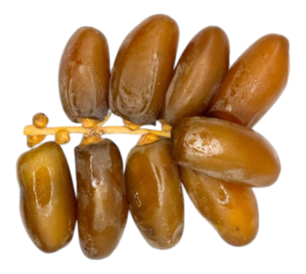 تمر الجزائر 500 غرام