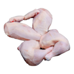 دجاج حي، مقطعة على 4، بين 2 4 و 2 6 كيلو، 1 وحدة