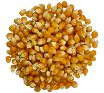 ذرة حبوب 250 غرام