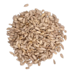 زريعة منقية 50 غرام