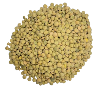 عدس كندا 500 غرام