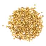 قزبر حبوب 50 غرام