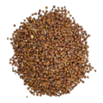 كوزة الصحراوية 10 غرام