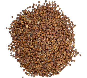 كوزة الصحراوية 10 غرام