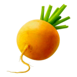 لفت أصفر 500 غرام