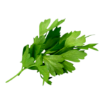 معدنوس 1 حزمة