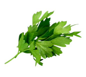 معدنوس 1 حزمة