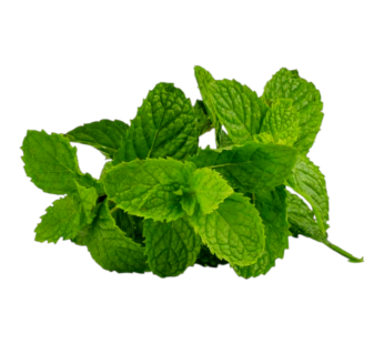 نعناع 1 حزمة