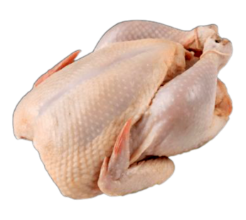 دجاج حي، كاملة، بين 2.4 و 2.6 كيلو، 1 وحدة