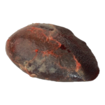 طحال خروف 1 وحدة