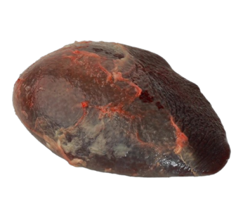 طحال الخروف 1 وحدة
