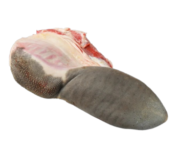 لسان البقر 1 وحدة