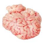 مخ خروف 1 وحدة